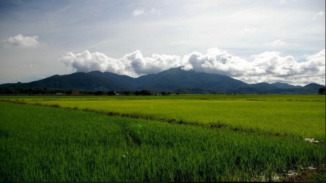 Barakah Homestay Alor Setar Dış mekan fotoğraf